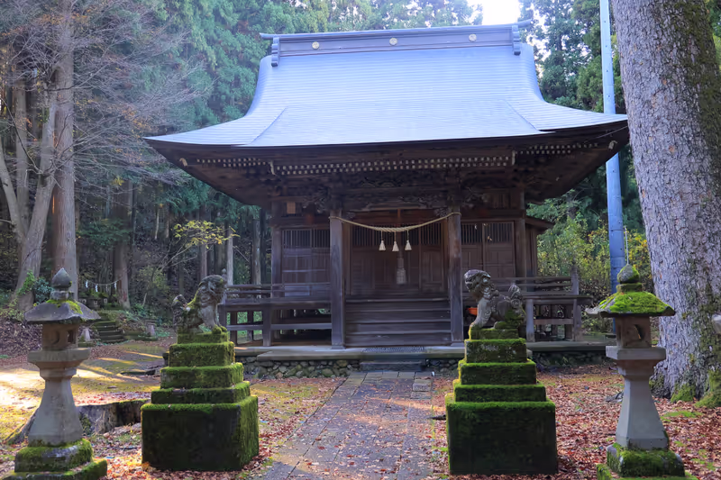 Tokyo Private Tour - The water needed to make good sake comes from the near-by old shrine ground in the forest.