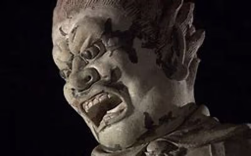 Nara Private Tour - Twelve heavenly generals in Shinyakushiji