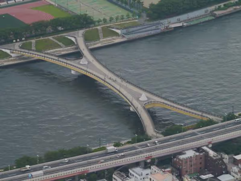 Tokyo Private Tour - View from the Tokyo sky tree