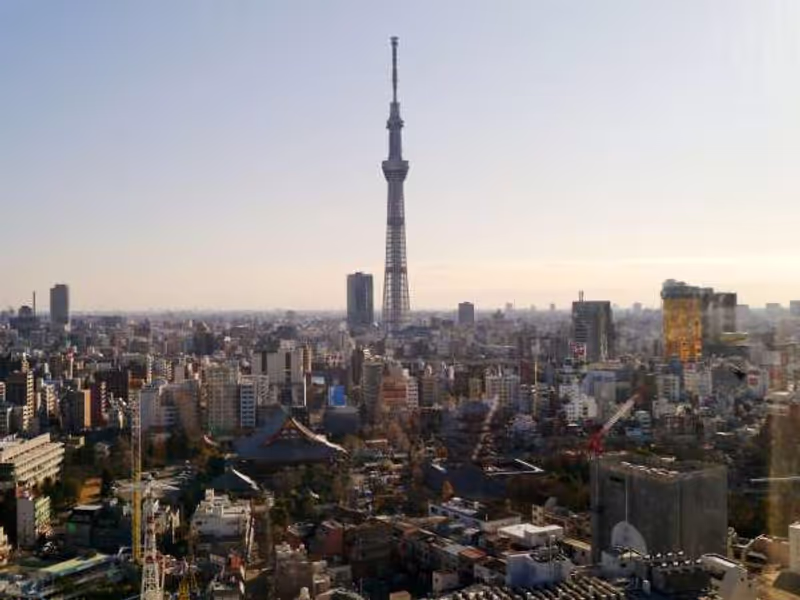 Tokyo Private Tour - Asakusa temple and Tokyo sky tree districts