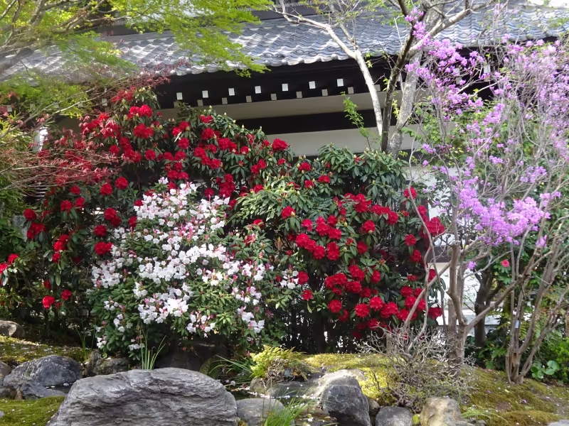 Kamakura Private Tour - null
