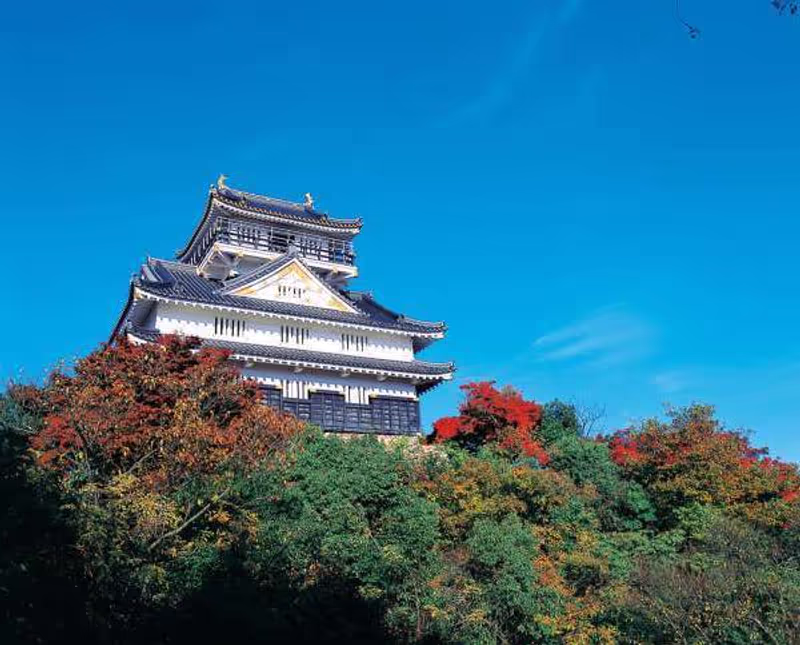 Gifu Private Tour - Gifu Castle stands on the top of Mt. Kinka, providing stunning views of Gifu City and the surrounding areas.