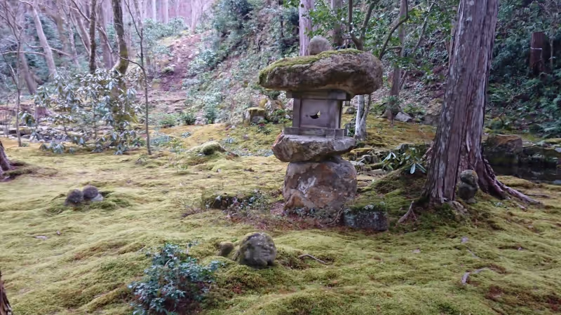 Kyoto Private Tour - null