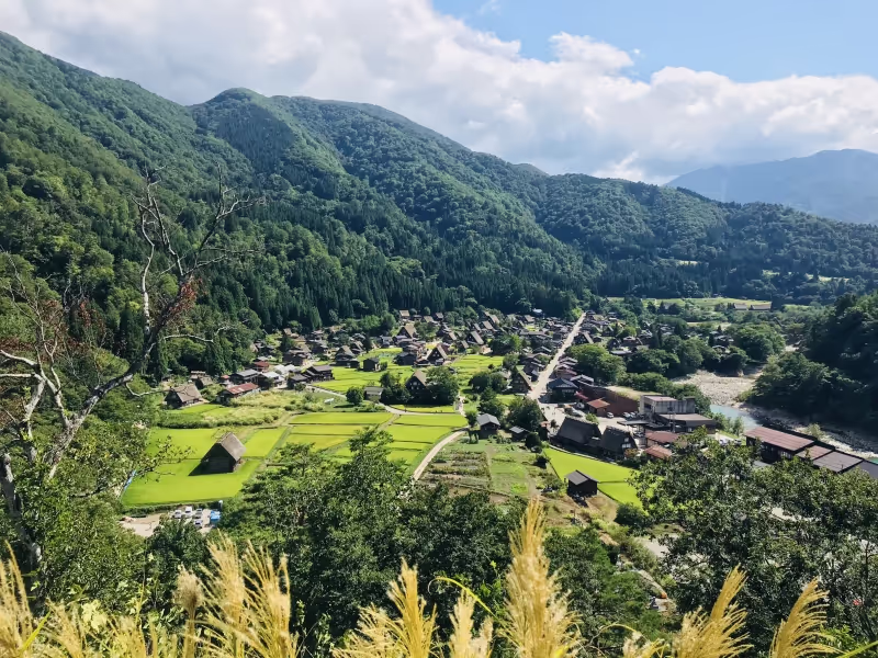 Takayama Private Tour - null