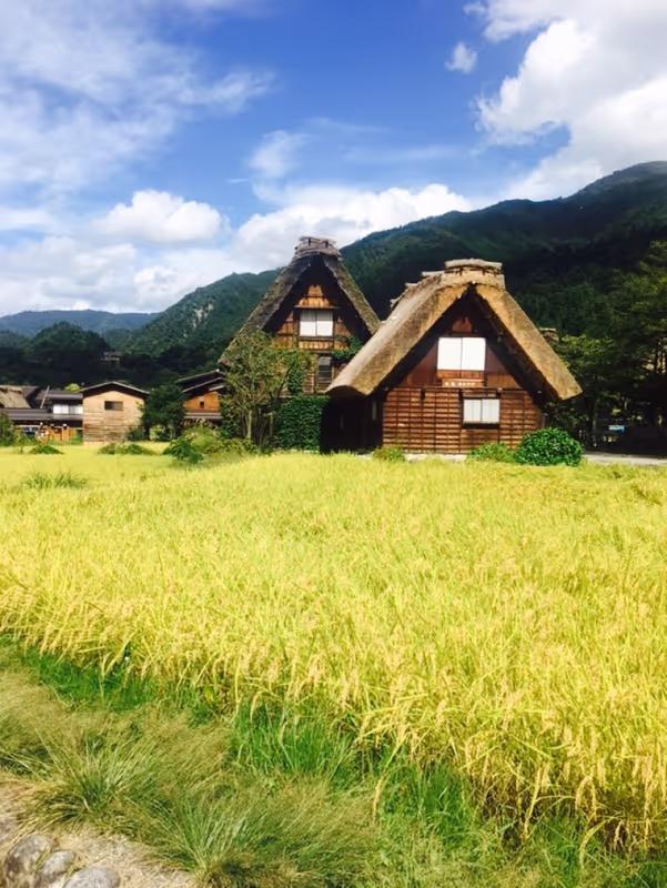 Takayama Private Tour - null