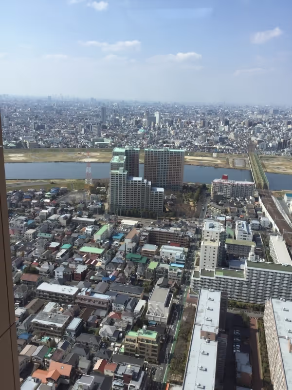 Chiba Private Tour - You can see 360' view of suburban Tokyo if the air is clear.