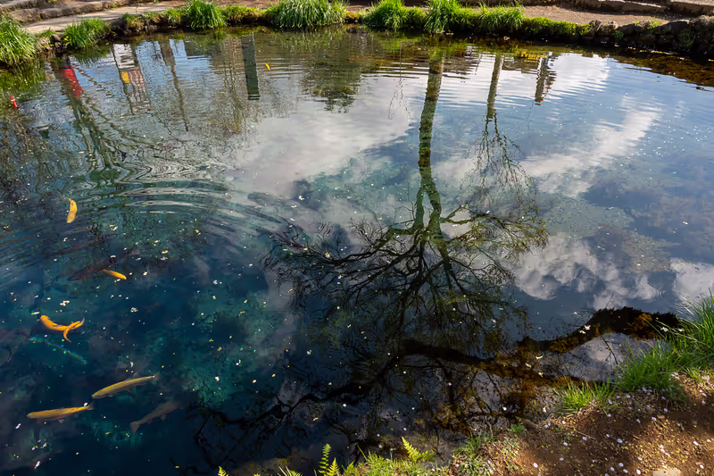 Mount Fuji Private Tour - Crystal clear water used to be purification place