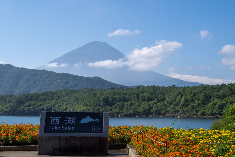 Mount Fuji Private Tour - 【Option】Lake Saiko - quiet, lesser visitors area