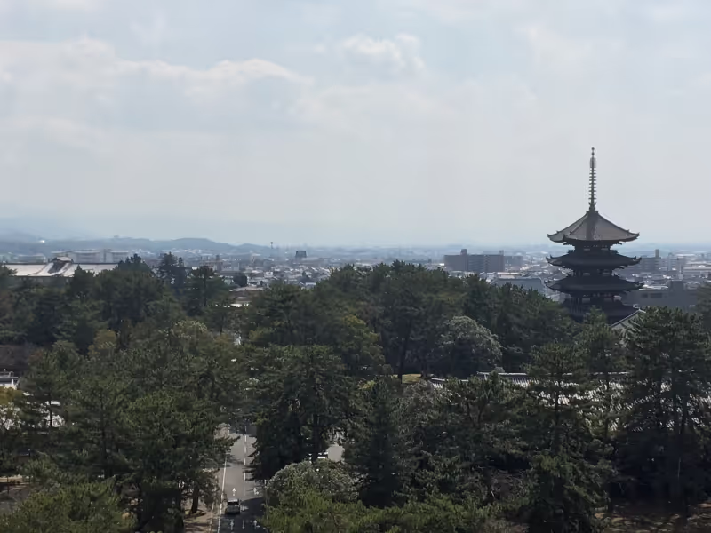 Nara Private Tour - null