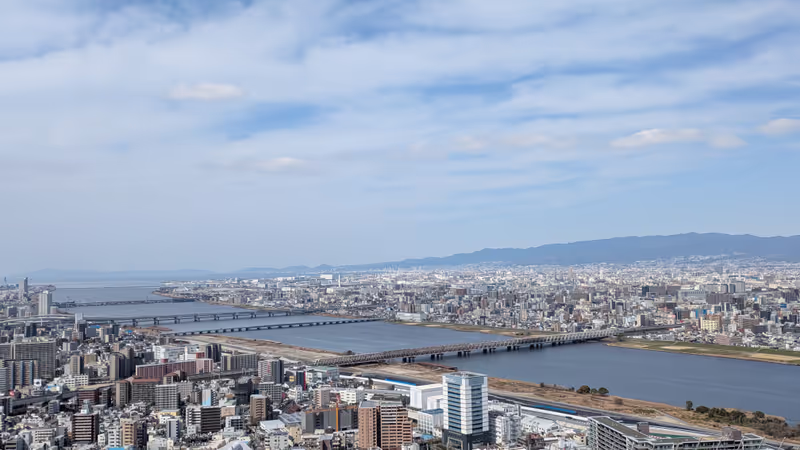 Osaka Private Tour - 