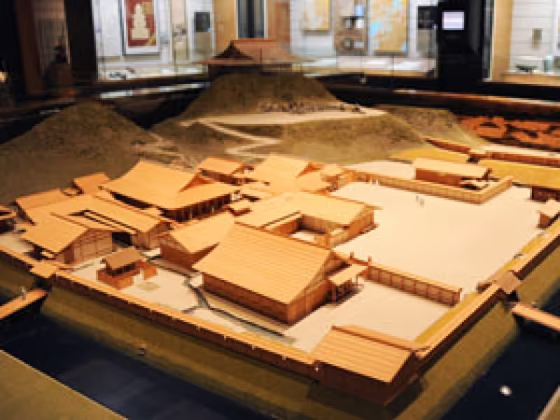Chiba Private Tour - Sakura History and Folk Museum