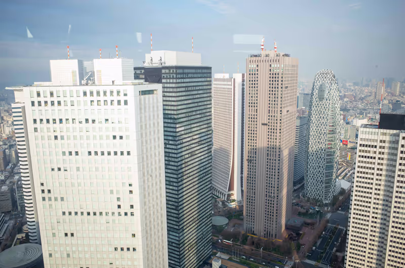 Tokyo Private Tour - Splendid view from observatory