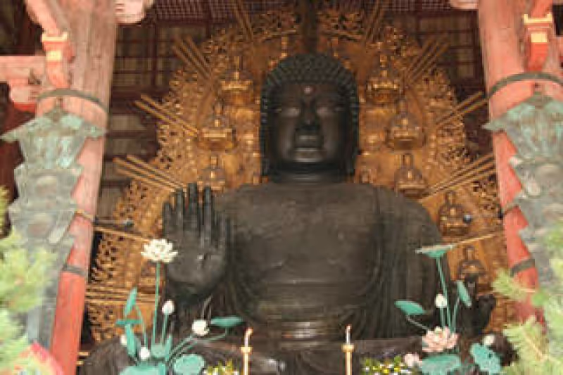 Nara Private Tour - The statue of Great Buddha in Todai-ji temple