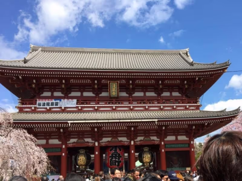 Tokyo Private Tour - null