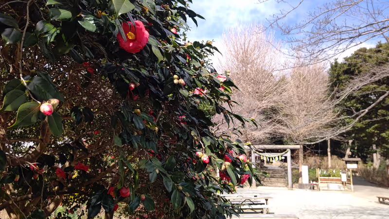 Kamakura Private Tour - null
