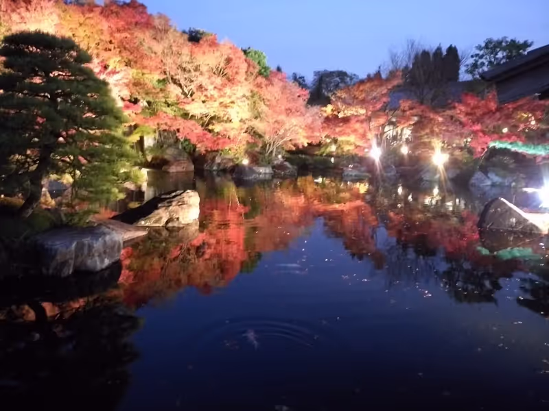 Himeji Private Tour - null