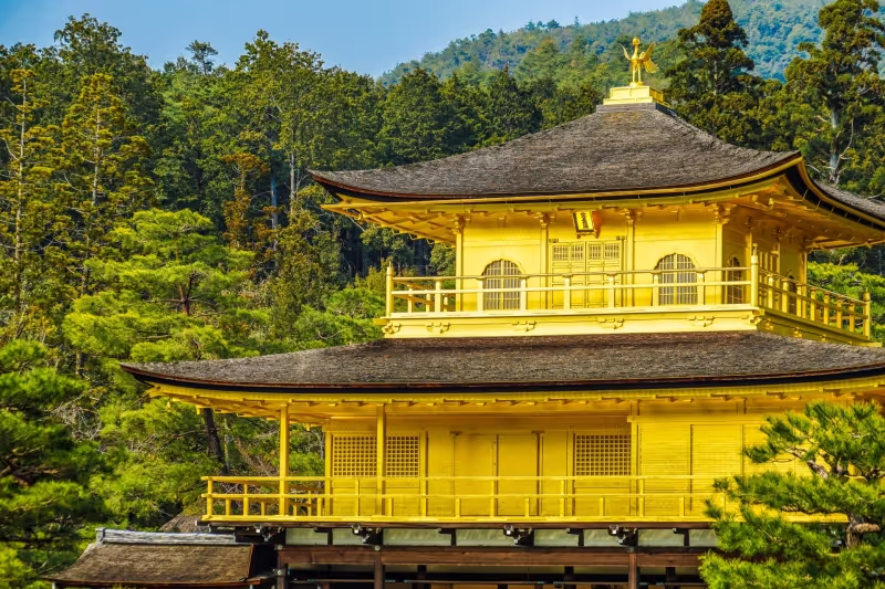 Kyoto Private Tour - null