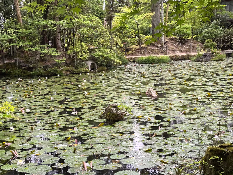Kyoto Private Tour - Tacchu Garden