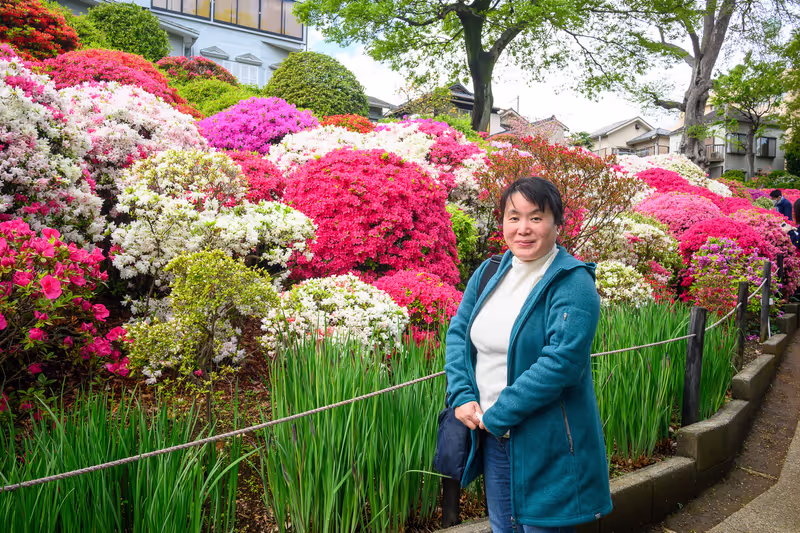 Tokyo Private Tour - (A) Yanaka - My favorite season. Azalea in full bloom in the end of April to the beginning of May.