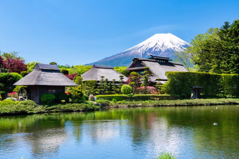 Tokyo Private Tour - Oshino Hakkai, acht Teichen