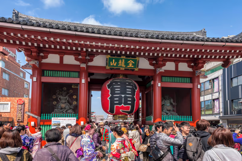 Tokyo Private Tour - null