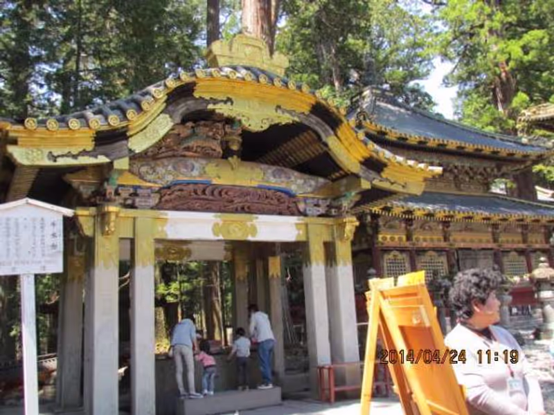 Tokyo Private Tour - Omizuya at Nikko Toshogu
