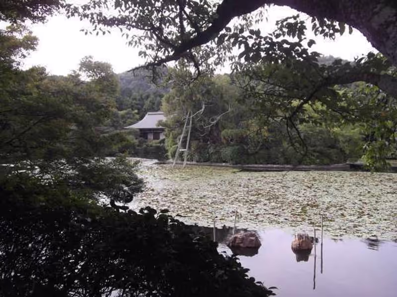 Kyoto Private Tour - Ryoanji Temple viewed from the edge of "Kyoyochi" pond.