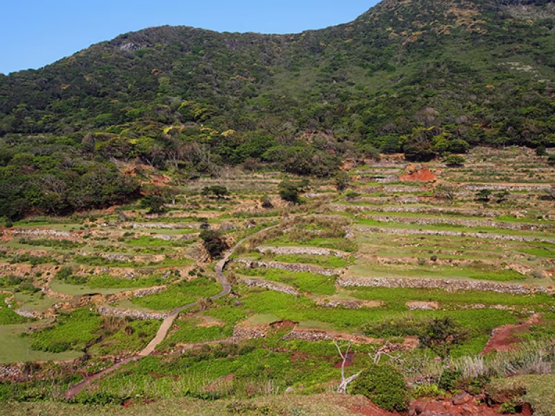 Nagasaki Private Tour - NOZAKI community ruin (world heritage)