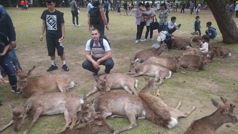 Kyoto Private Tour - Nara deers park