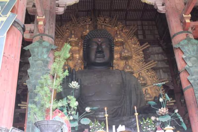 Nara Private Tour - what' a surprize!   It's awesome !
