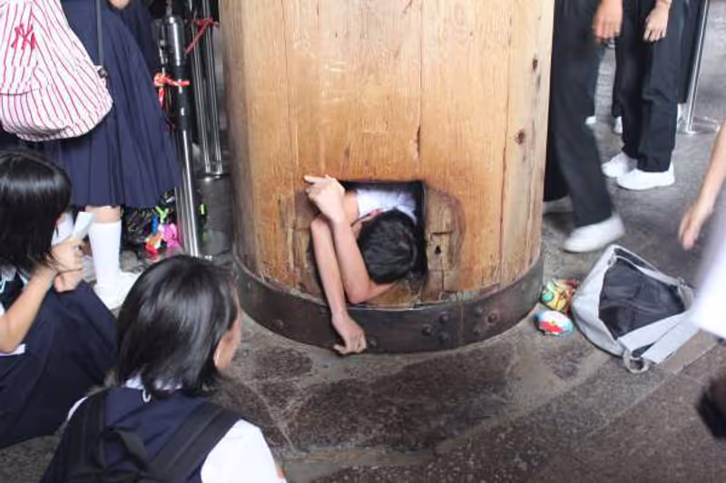 Nara Private Tour - This high school boy will get a good luck !