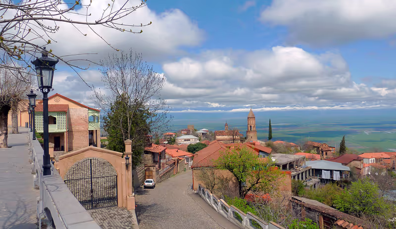 Tbilisi Private Tour - Signagi
