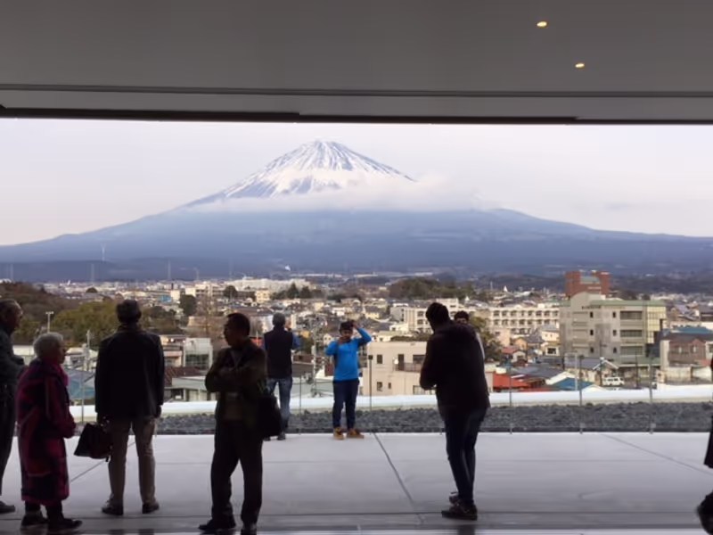 Mount Fuji Private Tour - null