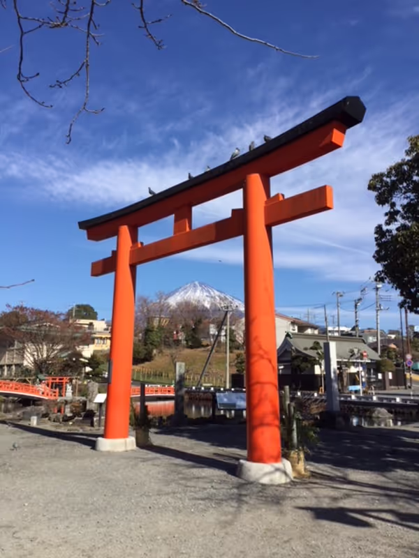 Mount Fuji Private Tour - null