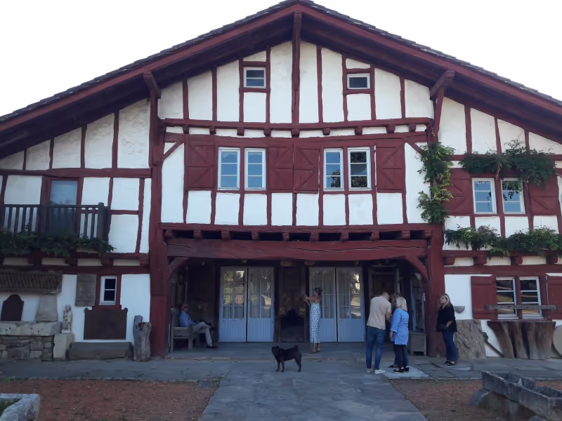 Pais Vasco Private Tour - null
