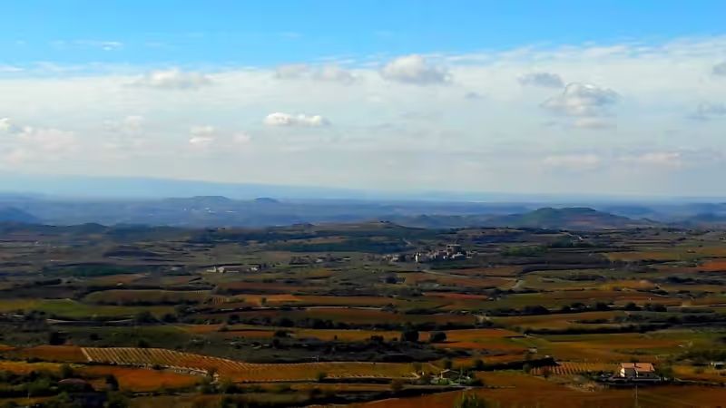 Bilbao Private Tour - null