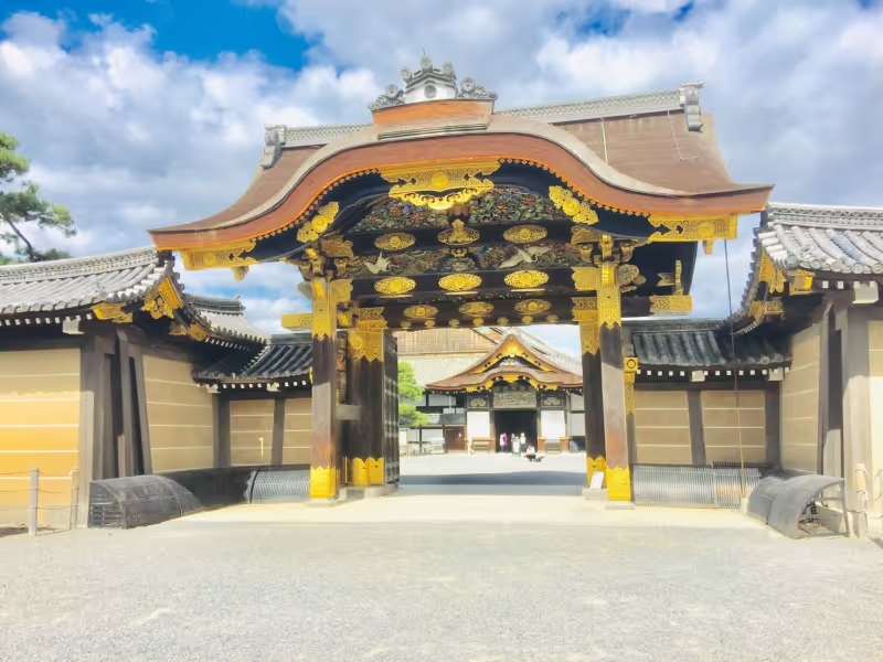 Kyoto Private Tour - null