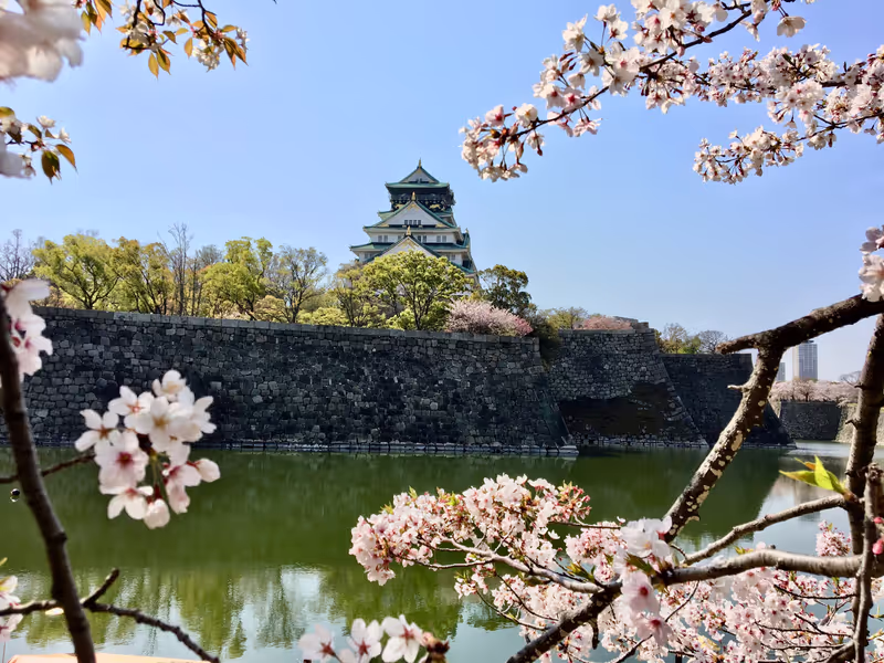 Osaka Private Tour - 