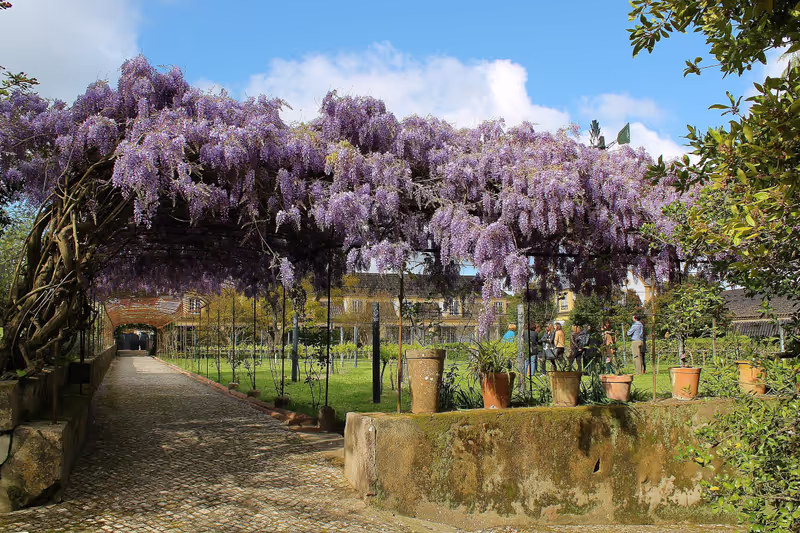 Lisbon Private Tour - null
