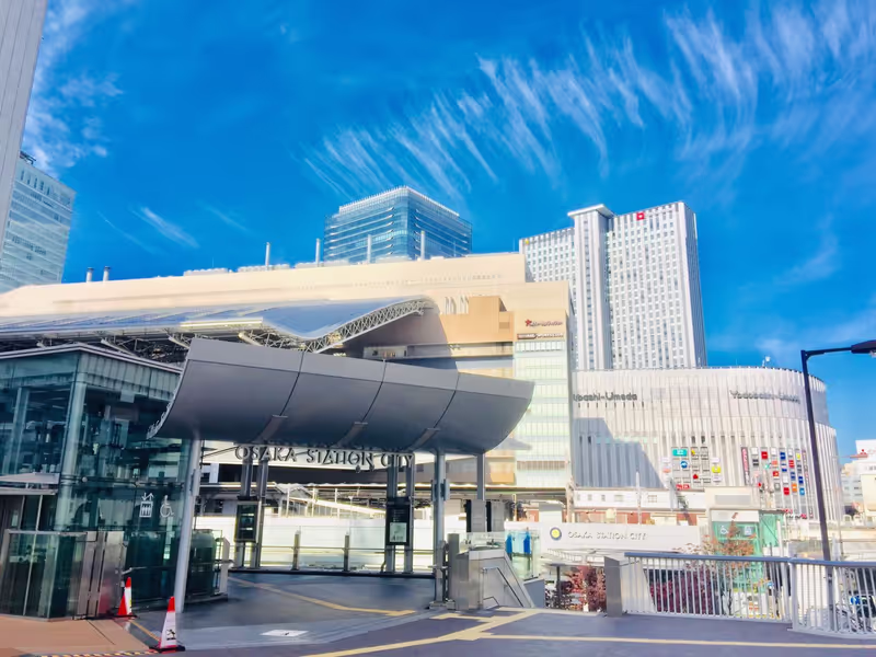 Osaka Private Tour - null