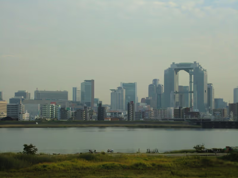 Osaka Private Tour - null