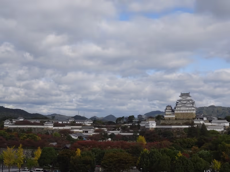 Himeji Private Tour - Panorama of Himeji Castle. I will take you to this view spot.