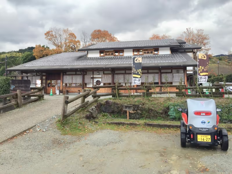 Nara Private Tour - null