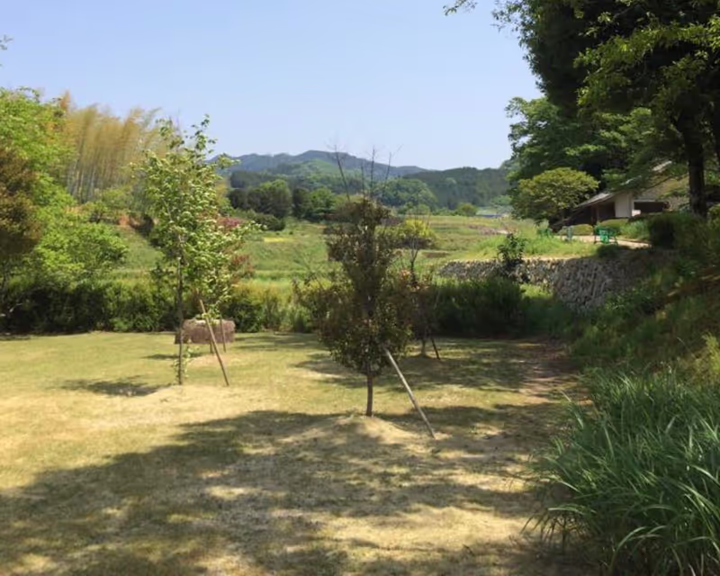 Nara Private Tour - null
