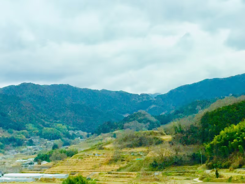 Nara Private Tour - null