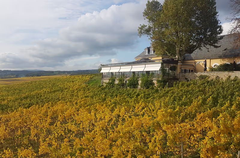 Rhine Valley Private Tour - Schloss Johannisberg