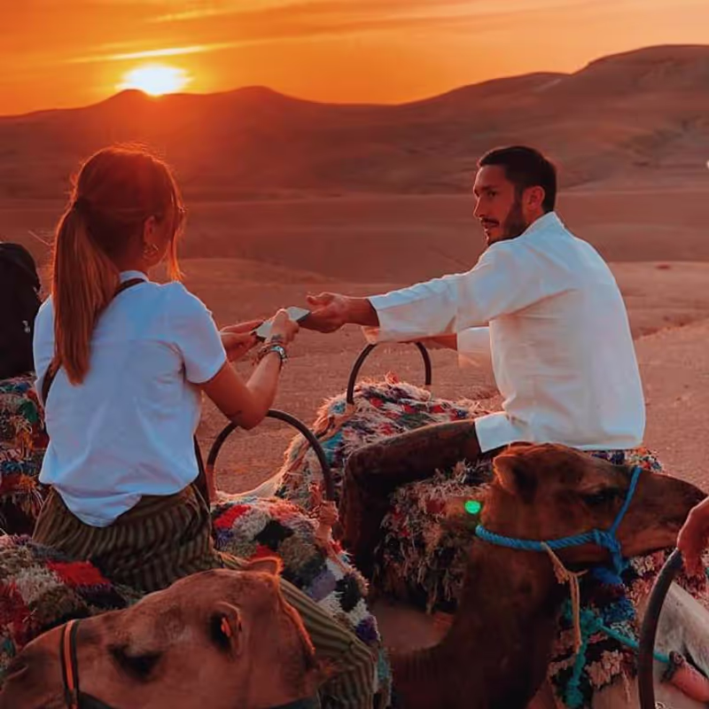 Marrakech Private Tour - Sunset Camel ride