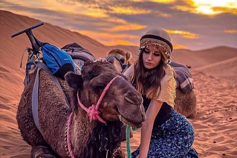 Marrakech Private Tour - null