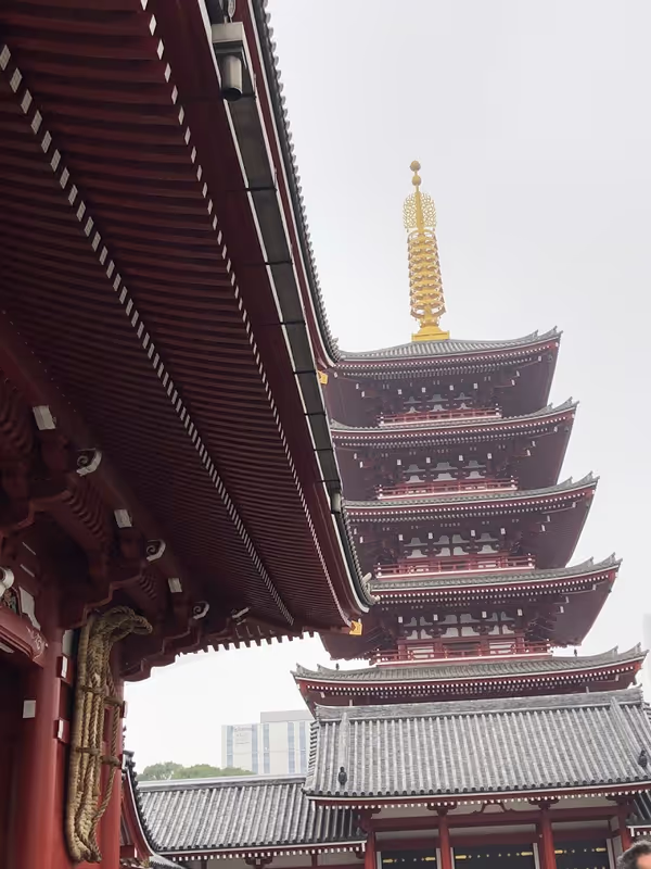 Tokyo Private Tour - Five storied pagodas in Sensoji-temple.