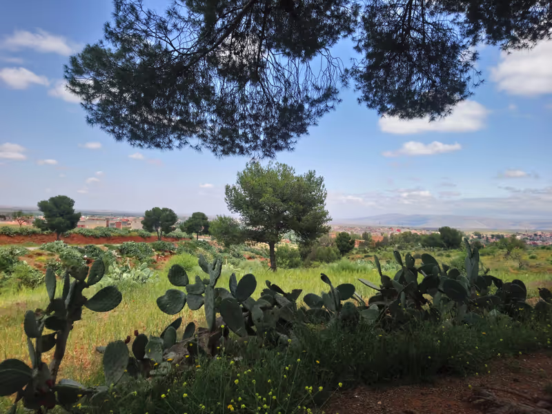 Marrakech Private Tour - The valleey